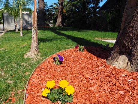 The Greens Hotel on Stockton Blvd - Landscaping